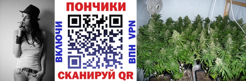 Какие есть наркотики Новозыбков COCAIN Метамфетамин Бошки Шишки ГАШ Галлюциногенные грибы