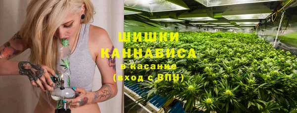 амф Магас