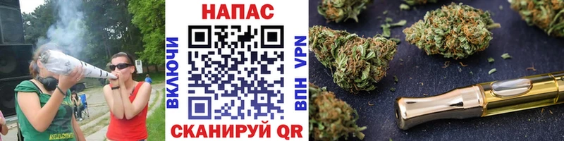 МАРИХУАНА планчик  Новозыбков 
